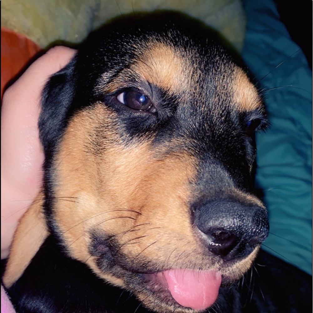 Meet your Posher, Kimberly